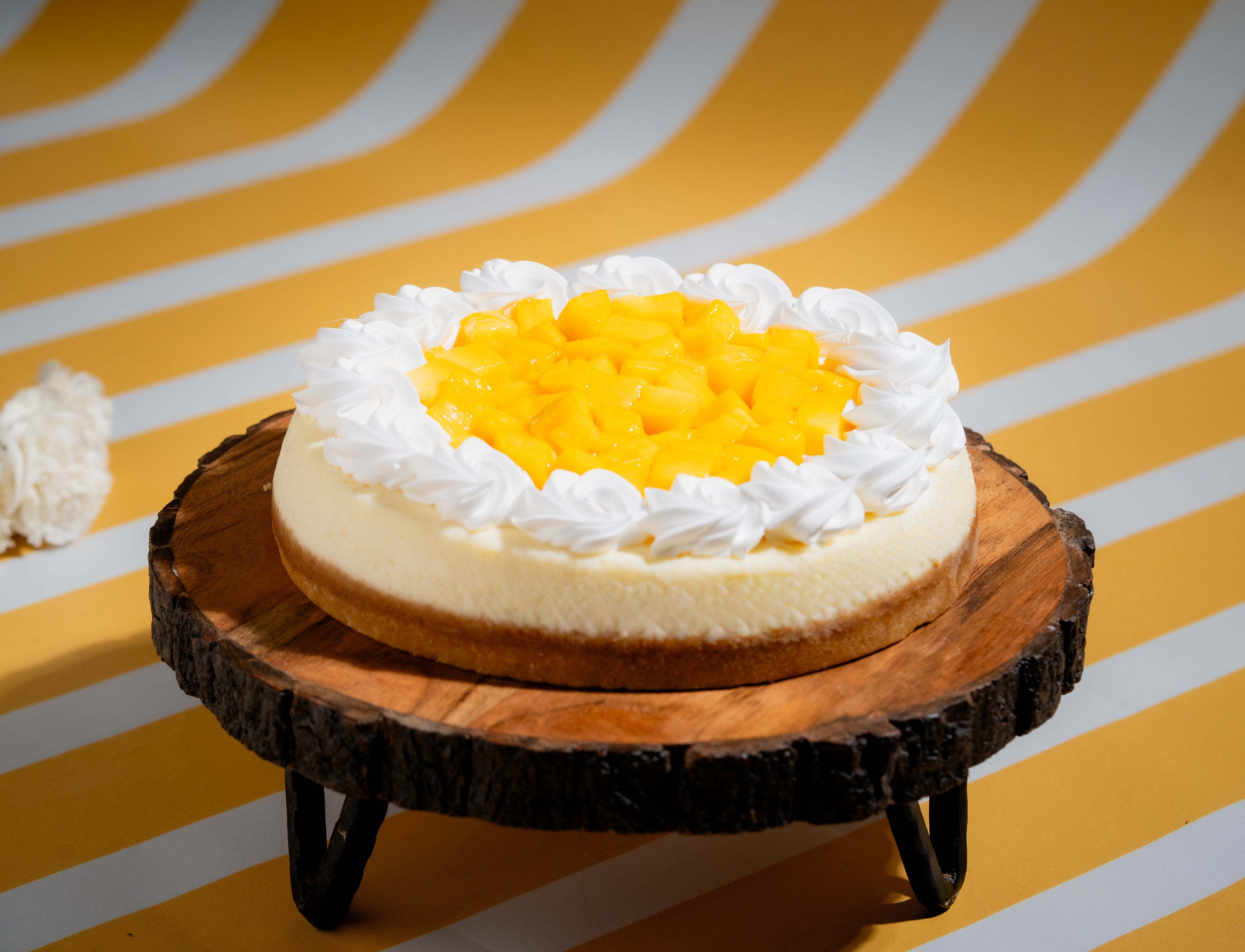 Mango Cheesecake